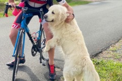 2021-08-Cyclos-en-mode-Vacances-6