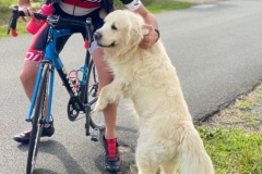 2021-08-Cyclos-en-mode-Vacances-6