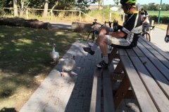 2022-07-24-Sortie-Club-Lac-de-Zillebeck-1